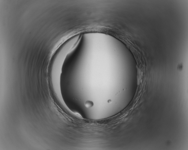 X0000116040244200912111446