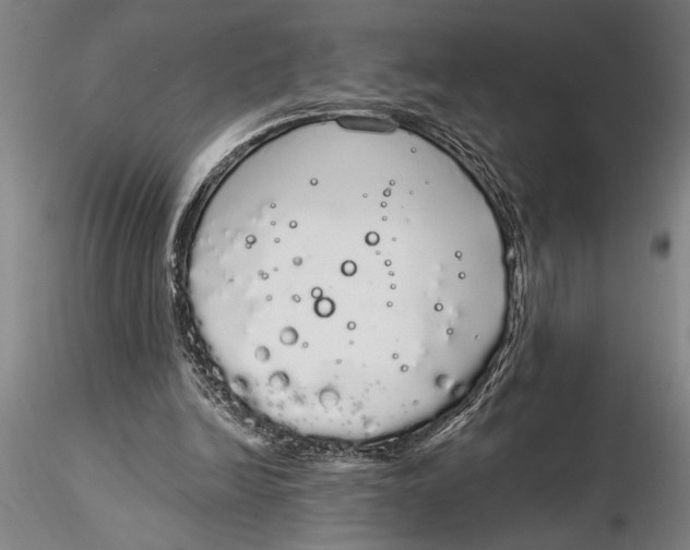 X0000116040246200912111446