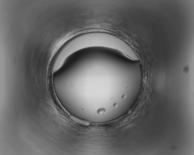 X0000116040248200912111446