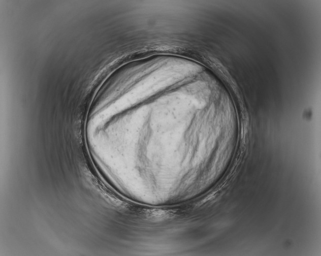X0000116040249200912111446