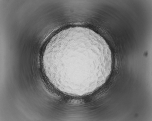 X0000116040251200912111446