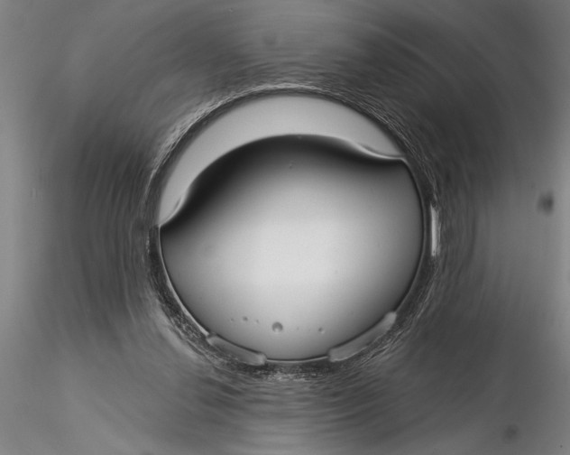 X0000116040252200912111446