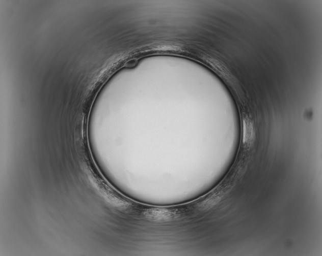 X0000116040253200912111446