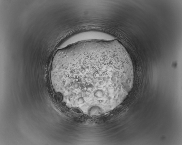X0000116040255200912111446