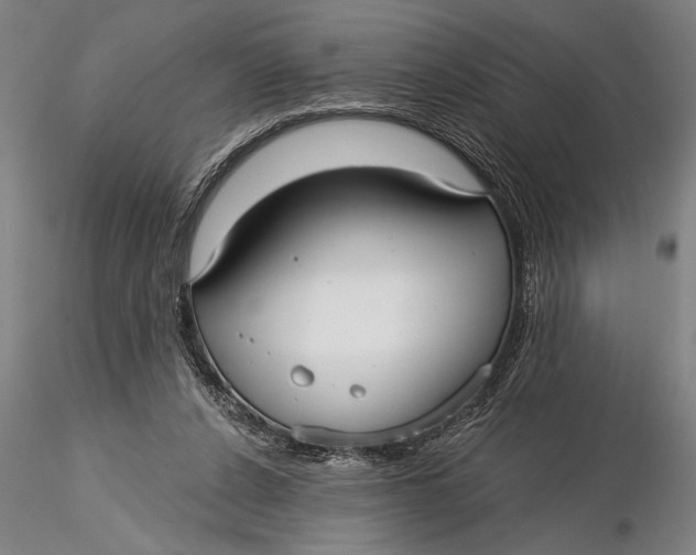 X0000116040256200912111446
