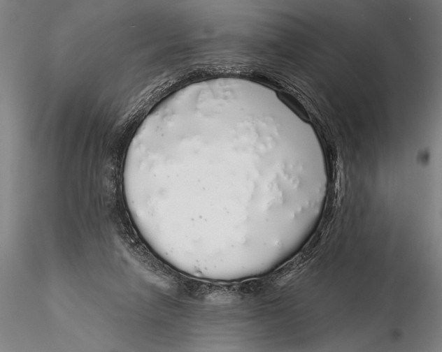 X0000116040258200912111446