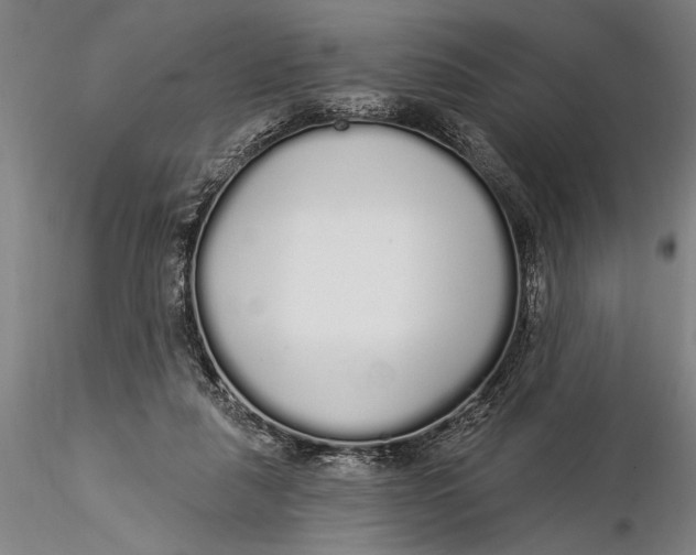X0000116040259200912111446