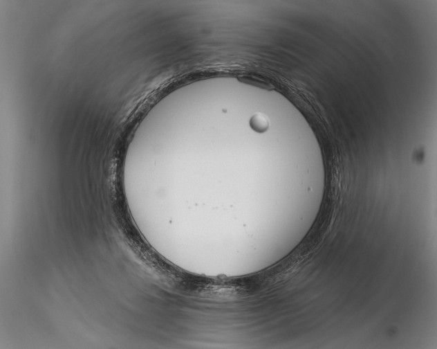 X0000116040260200912111446