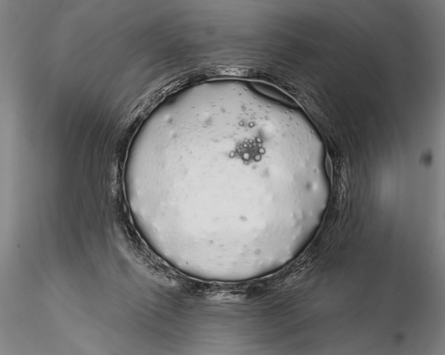 X0000116040262200912111447