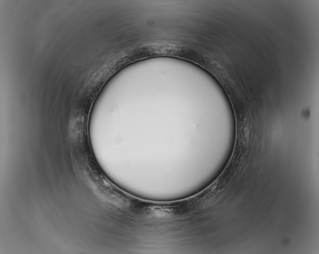 X0000116040263200912111447