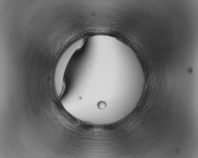 X0000116040264200912111447