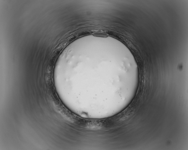 X0000116040266200912111447
