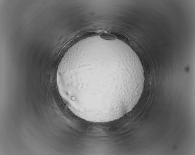 X0000116040268200912111447