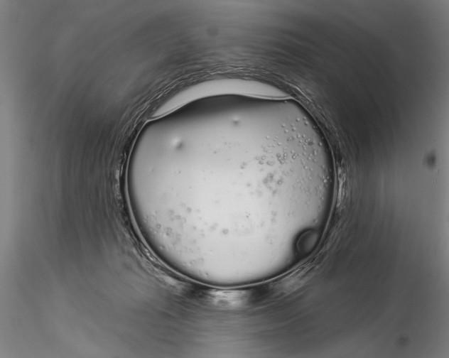 X0000116040269200912111447