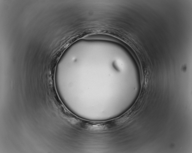 X0000116040270200912111447