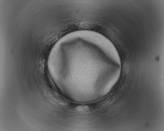 X0000116040271200912111447