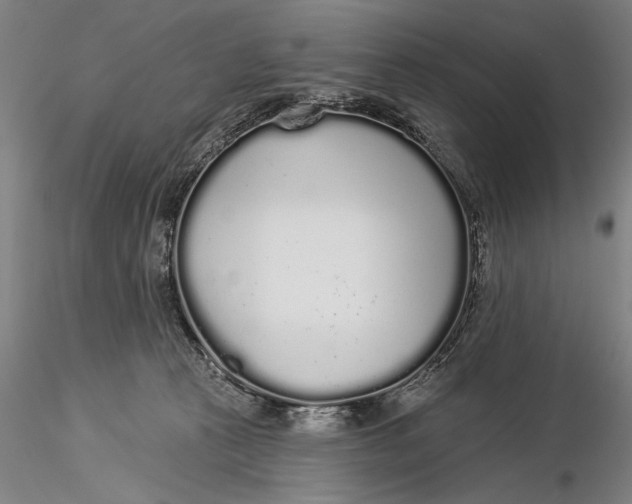 X0000116040273200912111447