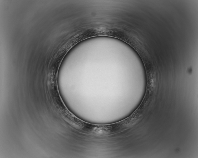X0000116040275200912111447