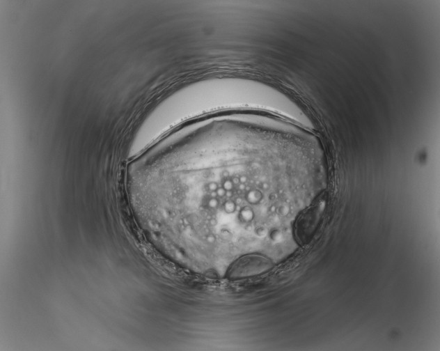X0000116040277200912111447