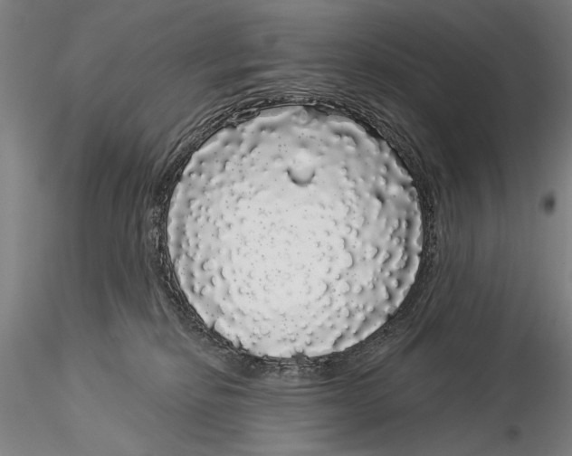 X0000116040278200912111447