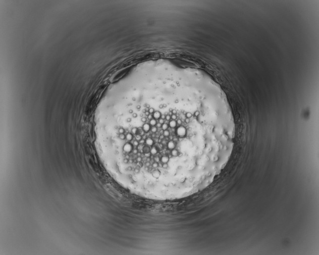 X0000116040279200912111447