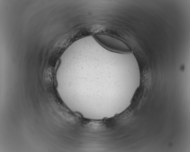X0000116040280200912111447