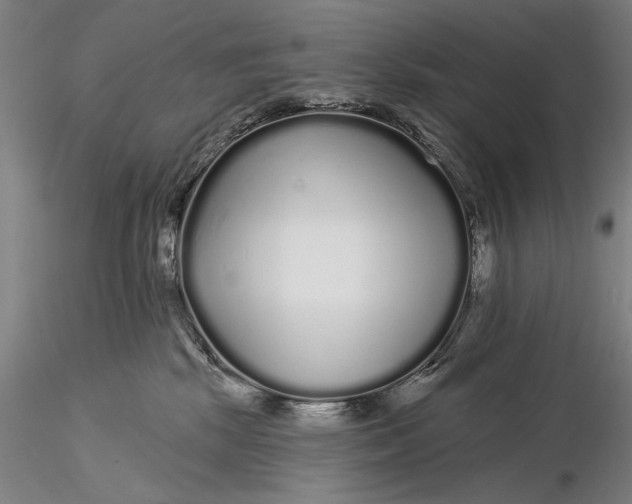X0000116040281200912111447