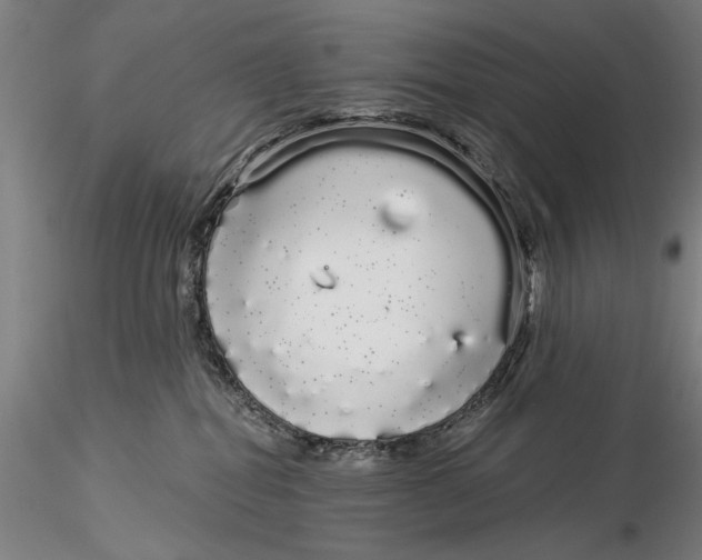 X0000116040282200912111447