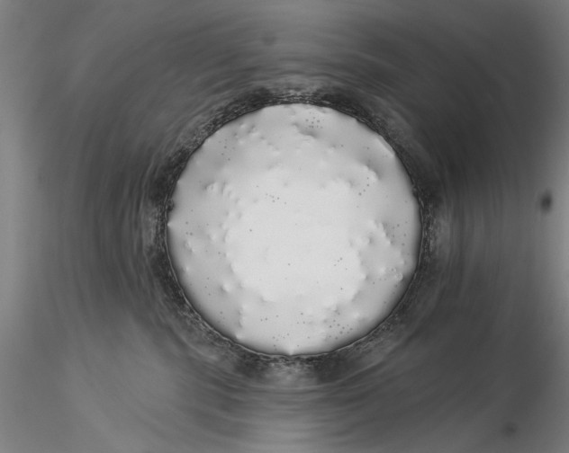 X0000116040283200912111447
