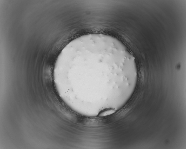 X0000116040286200912111447