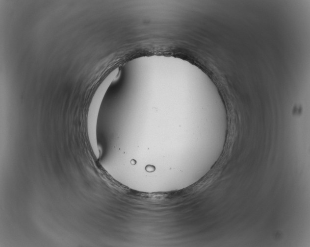 X0000116040288200912111447
