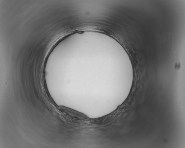X0000116040289200912111446