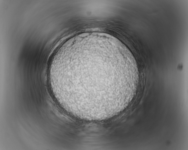 X0000116040290200912111446