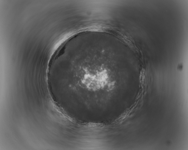 X0000116040292200912111446