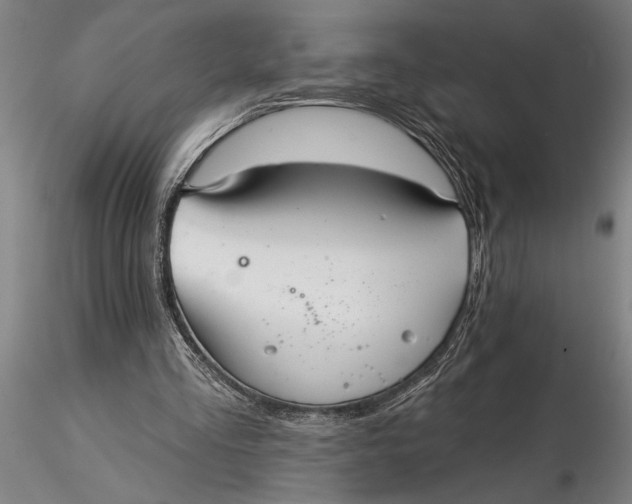 X0000116040293200912111446