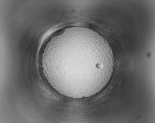 X0000116040294200912111446