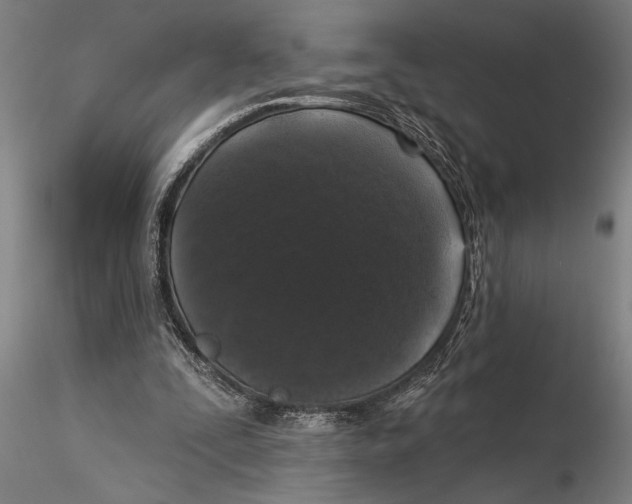 X0000116040295200912111446
