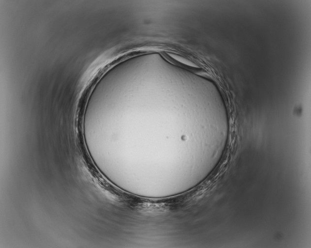 X0000116040296200912111446