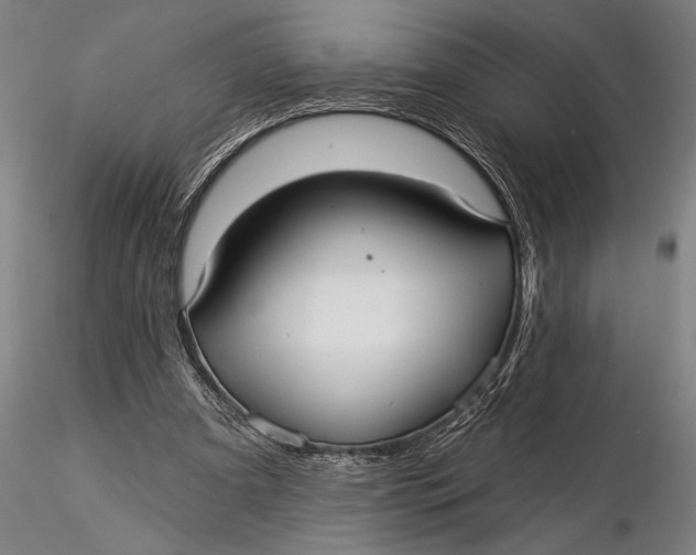 X0000116040297200912111446