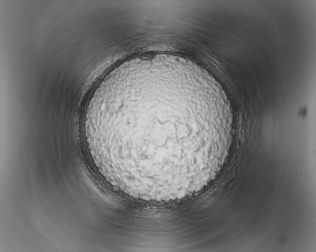 X0000116040298200912111446