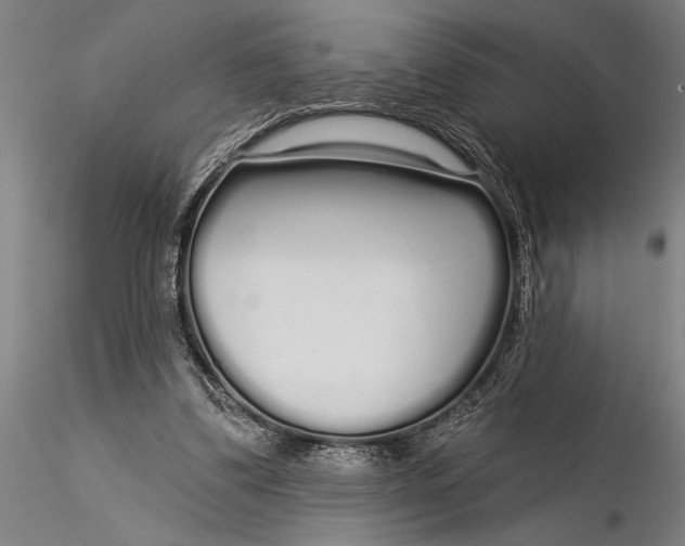 X0000116040299200912111446