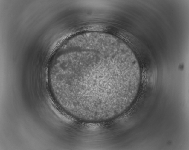 X0000116040302200912111446