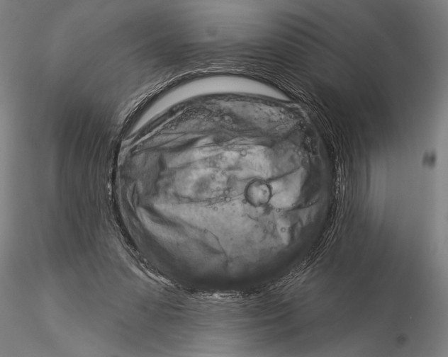 X0000116040303200912111446