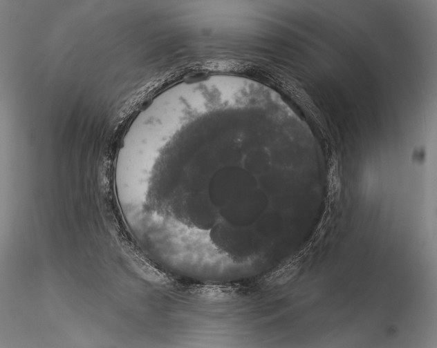 X0000116040305200912111446