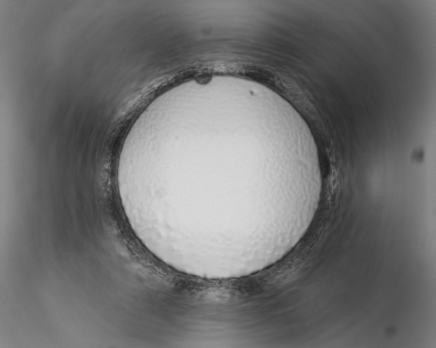 X0000116040306200912111446