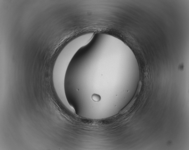 X0000116040308200912111446
