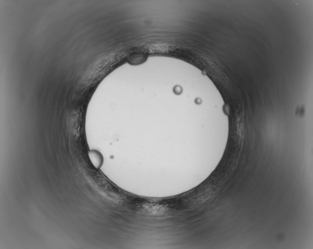 X0000116040311200912111446