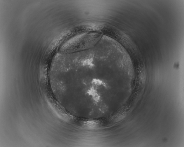 X0000116040312200912111446