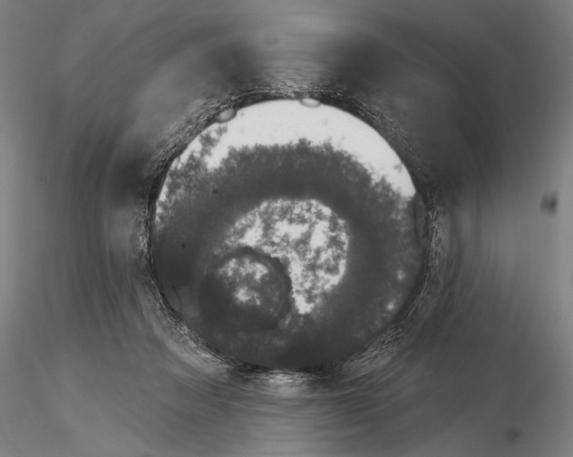 X0000116040313200912111446