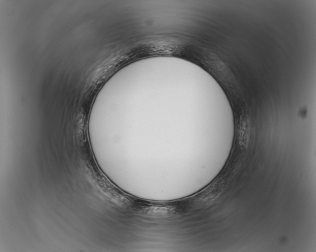 X0000116040314200912111446